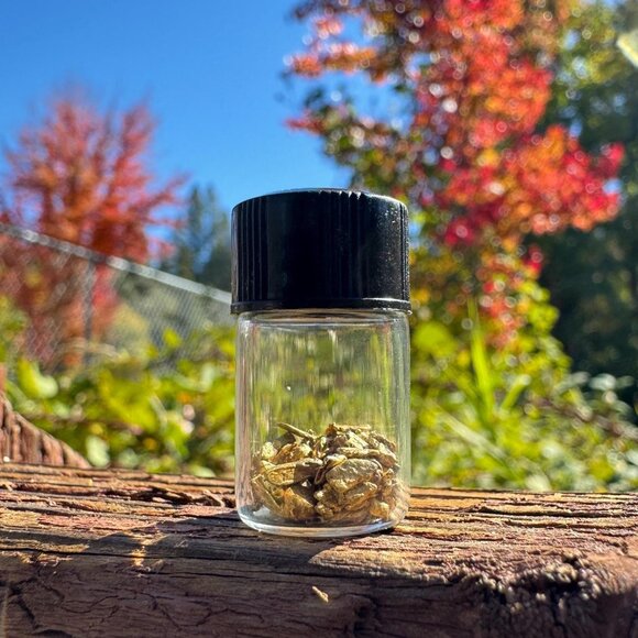 Gold Miners Personal Stash - California Gold Nuggets and Flakes in Jars 5 grams - Picture 3 of 9